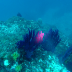 vlcsnap-2019-05-10-13h02m28s292
